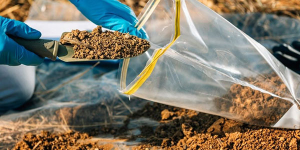 Soil Analysis